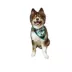 Hip Doggie Holiday "Santa Baby" and "Reindeer Ho, Ho Ho" Reversible Dog Bandana image thumbnail 4