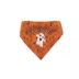 Hip Doggie Halloween "Lil' Boo" and "Tricks 4 Treats" Reversible Dog Bandana image thumbnail 1