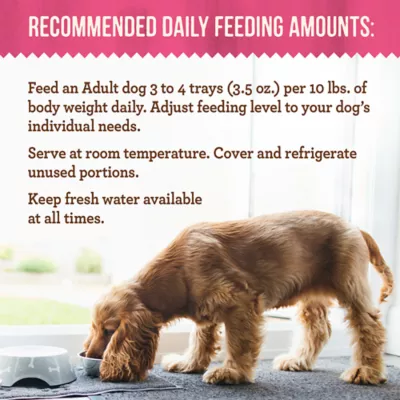 Product Merrick® Lil' Plates® Variety Pack Small Breed Adult Wet Dog Food - Grain Free, Pot Pie & Beef Stew