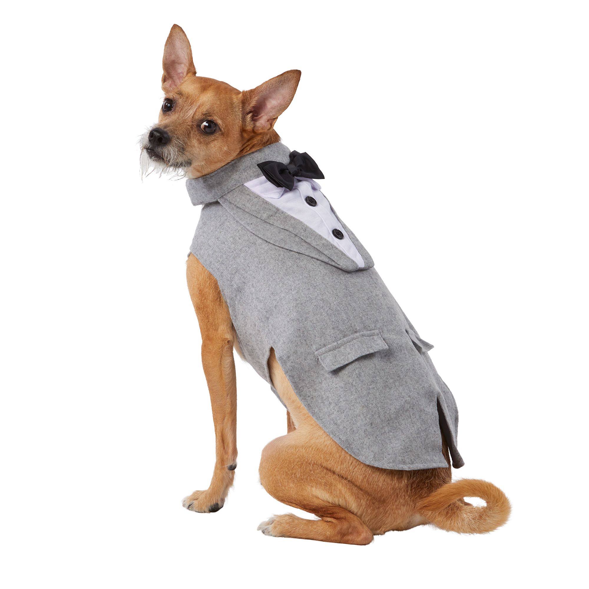 Petsmart shop dog clothes