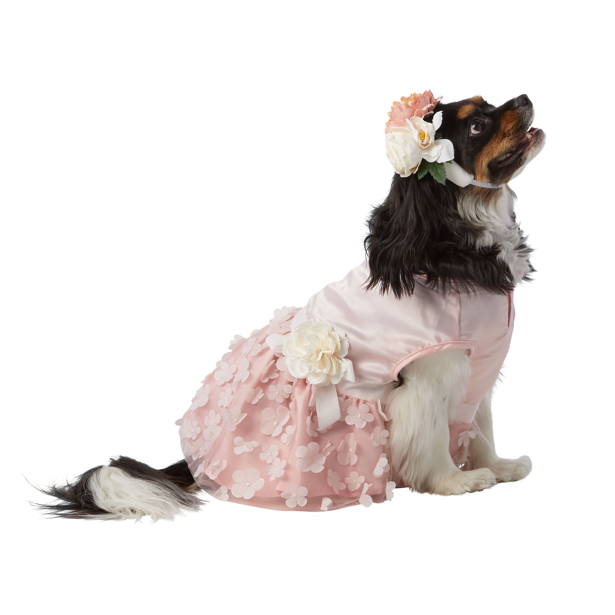 Top Paw Wedding Dog Dress Headband Set dog Costumes PetSmart