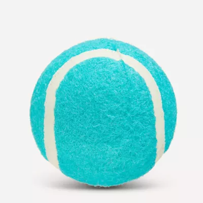 Product Joyhound Teal Tennis Ball Dog Toy