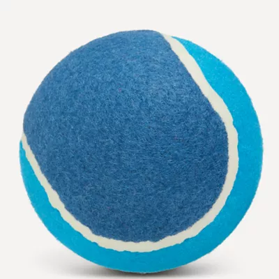 Joyhound Blue Tennis Ball Dog Toy