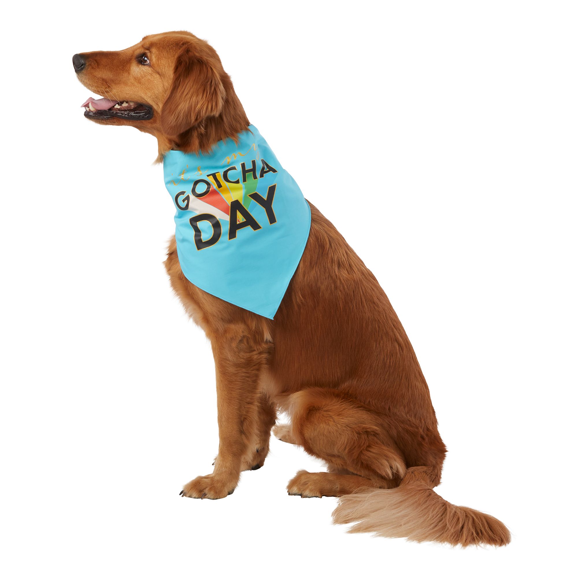 Petsmart dog bandanas new arrivals