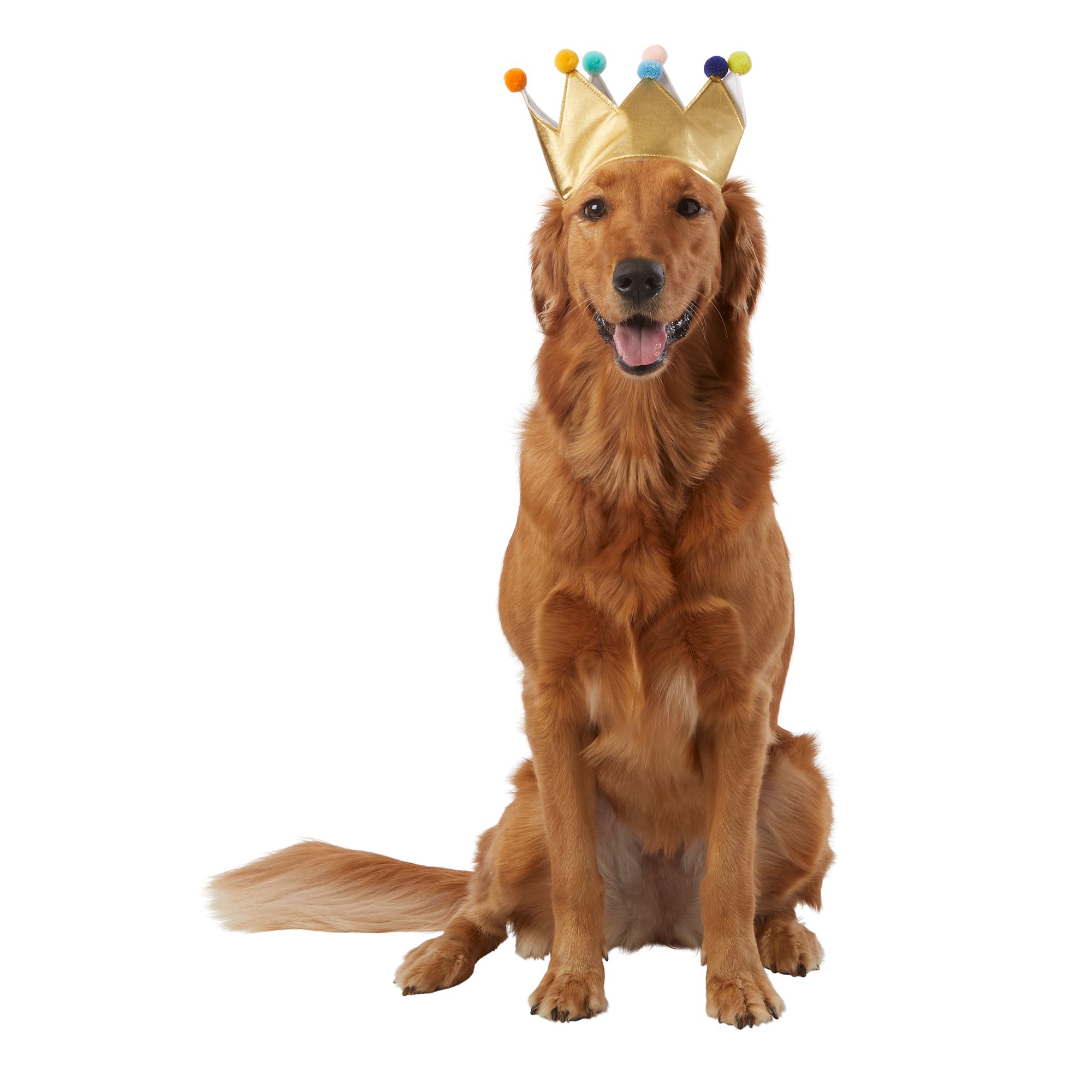 Petsmart discount birthday hat