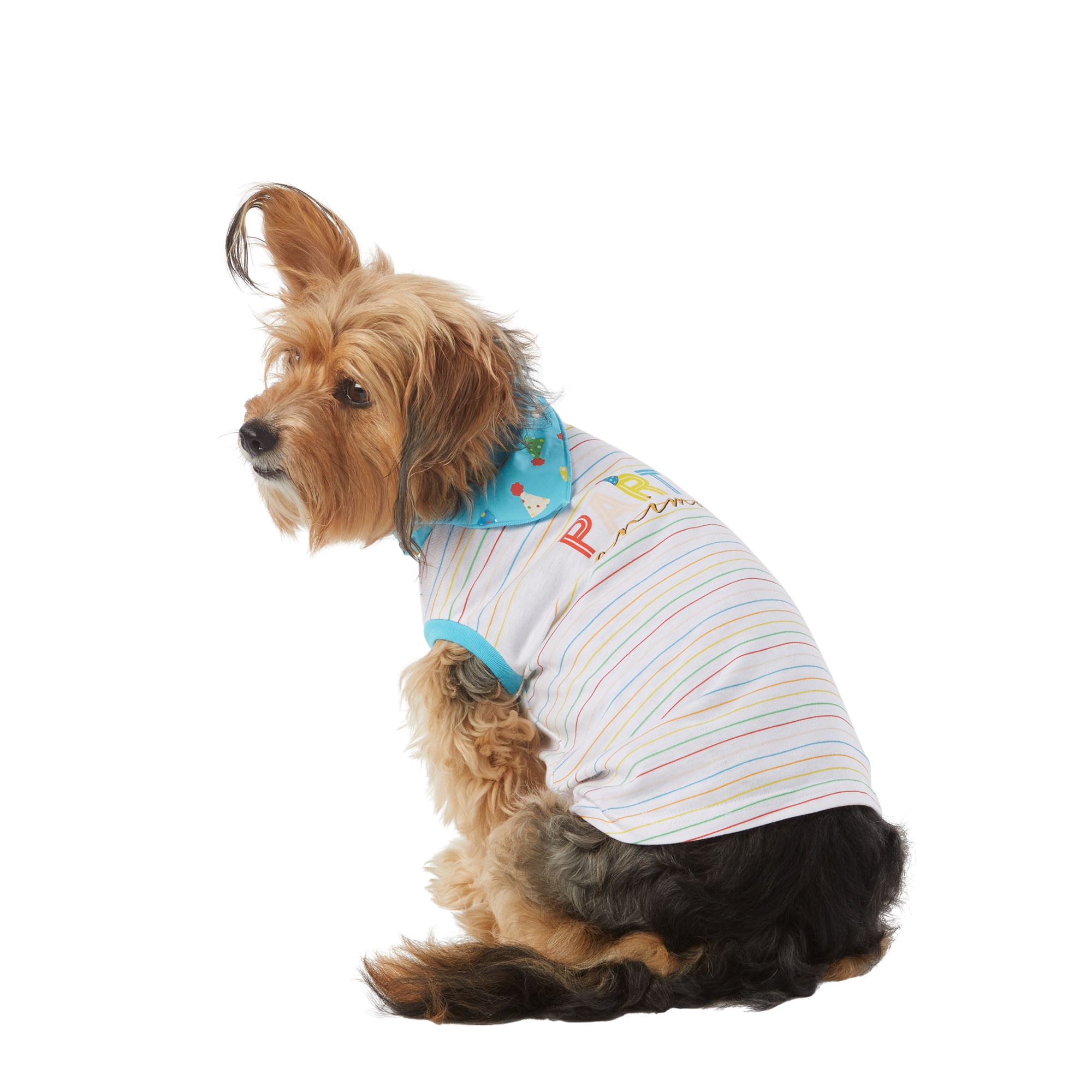 Dog birthday cheap shirt petsmart