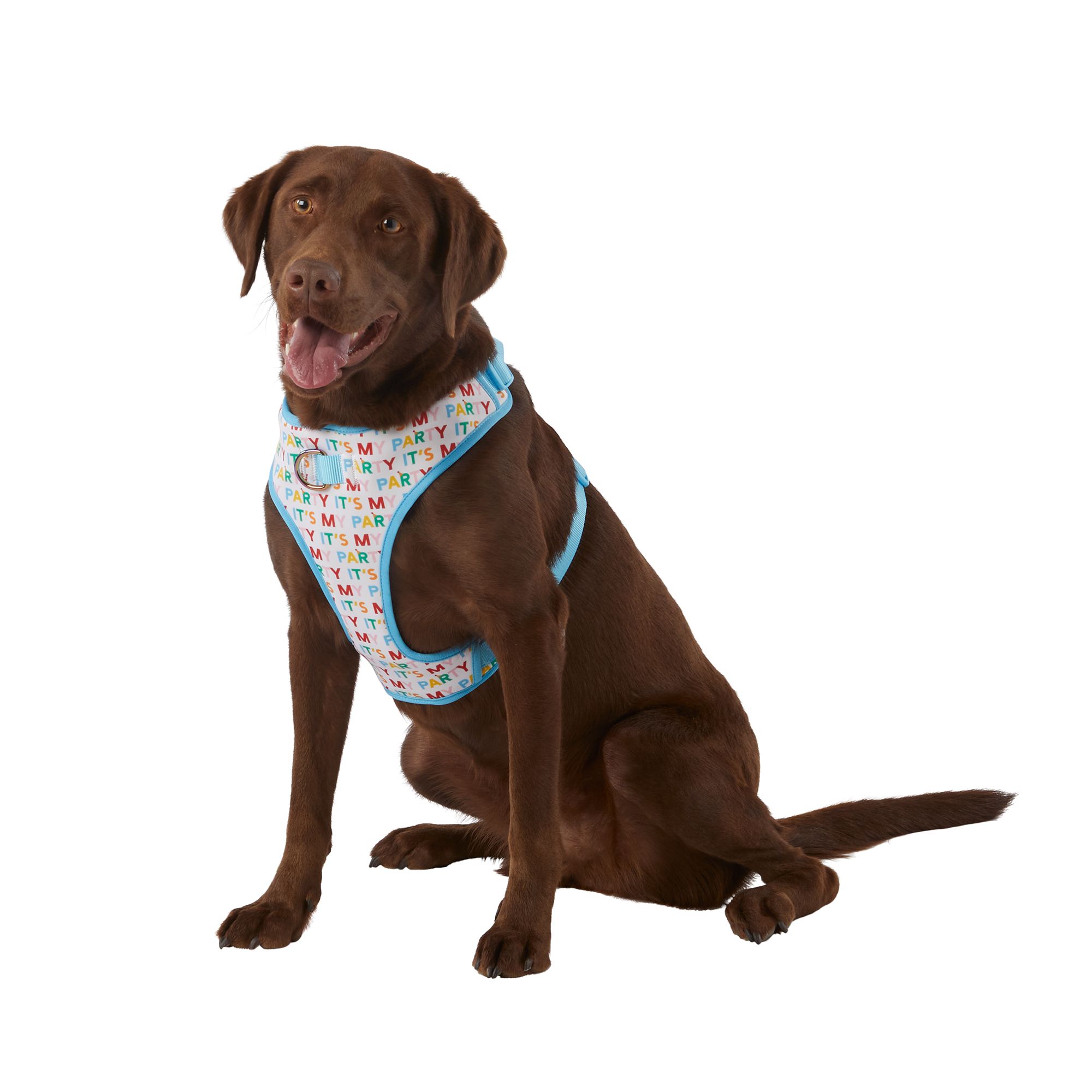 louis vuitton monogram dog harness with free