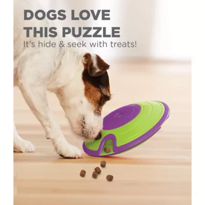 Pet treat puzzle hotsell