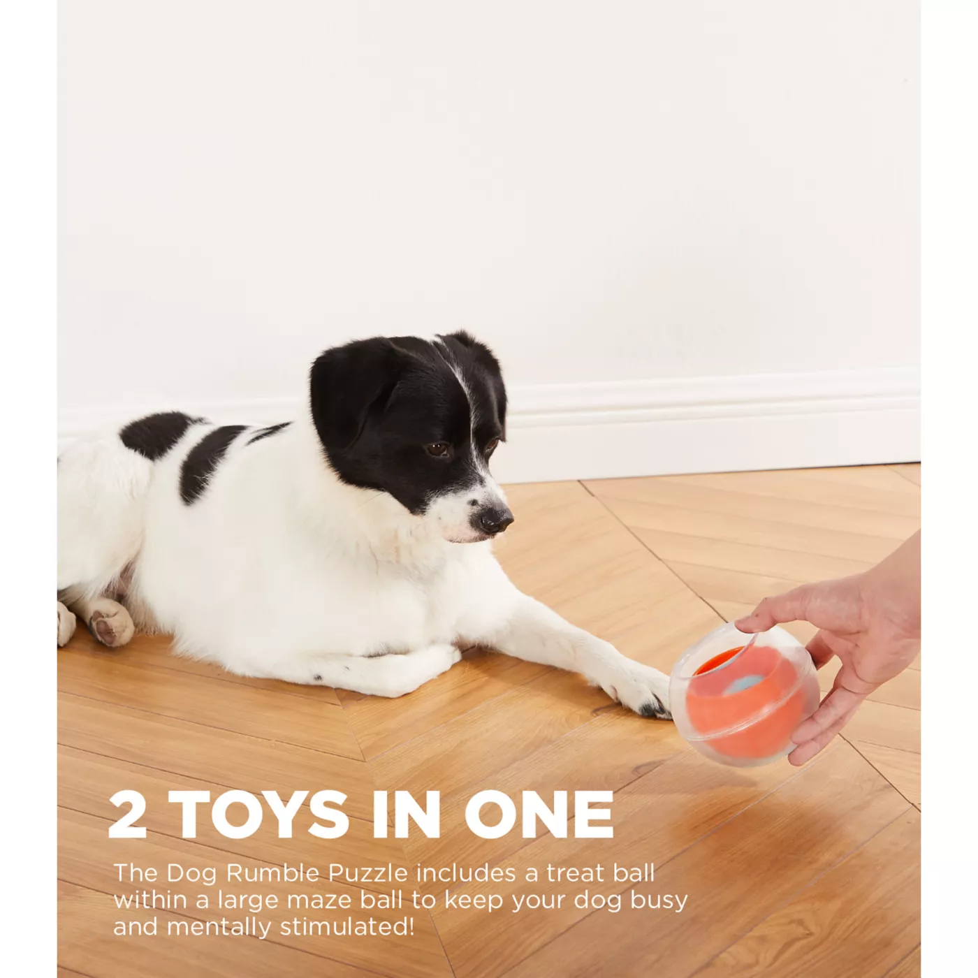 Dog puzzle ball treat best sale