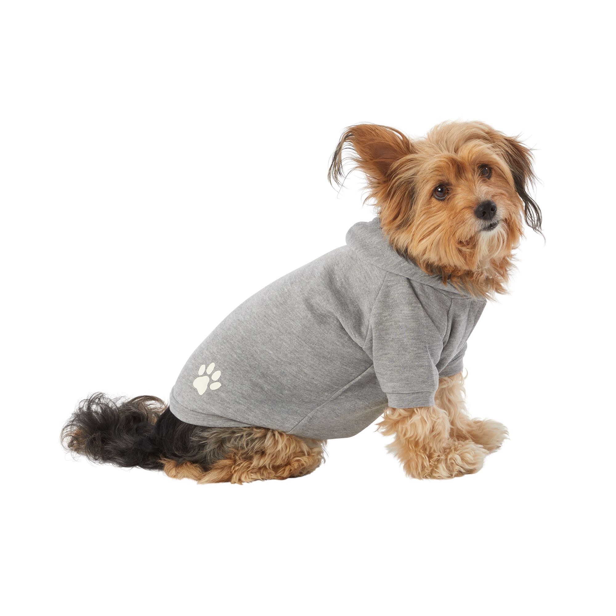 Top paw best sale bear fleece hoodie