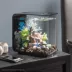 biOrb Coral Reef Aquarium Ornament - Blue image thumbnail 2