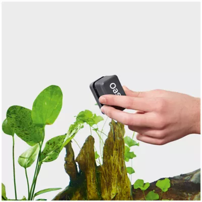 Product OASE Magnetic Aquarium Glass Cleaner