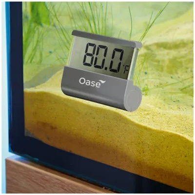 Product OASE Digital Thermometer