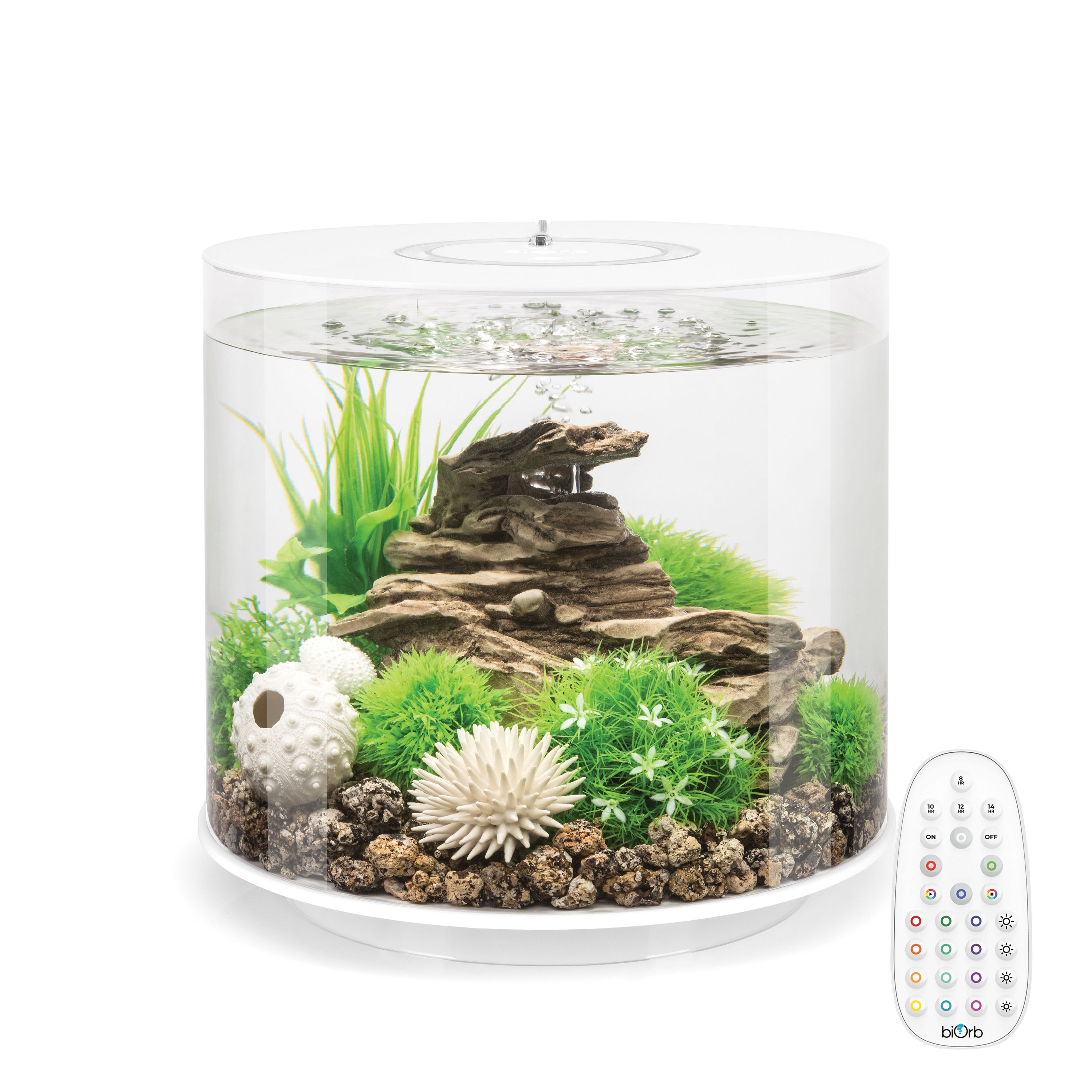 biOrb TUBE 15 Aquarium with Multi Color LED 4 Gallon fish