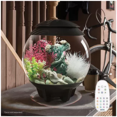 Product biOrb HALO 15 Aquarium with Multi Color LED - 4 Gallon