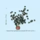 Product biOrb Bonsai Ball Artificial Aquarium Plant