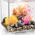 biOrb Bonsai Ball Artificial Aquarium Plant image thumbnail 6