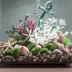 biOrb Bonsai Ball Artificial Aquarium Plant image thumbnail 7