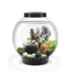biOrb CLASSIC 15 Aquarium with LED - 4 Gallon image thumbnail 1