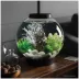 biOrb CLASSIC 15 Aquarium with LED - 4 Gallon image thumbnail 2