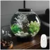 biOrb CLASSIC 15 Aquarium with Multi Color LED - 4 Gallon image thumbnail 2