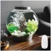 biOrb CLASSIC 15 Aquarium with Multi Color LED - 4 Gallon image thumbnail 2