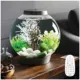 Product biOrb CLASSIC 15 Aquarium with Multi Color LED - 4 Gallon