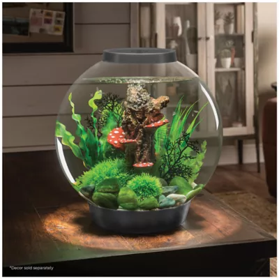 Product biOrb CLASSIC 30 Aquarium with LED - 8 Gallon