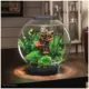 Product biOrb CLASSIC 30 Aquarium with LED - 8 Gallon