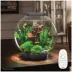biOrb CLASSIC 30 Aquarium with Multi Color LED - 8 Gallon image thumbnail 2