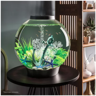 Product biOrb CLASSIC 60 Aquarium with LED - 16 Gallon