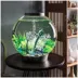biOrb CLASSIC 60 Aquarium with LED - 16 Gallon image thumbnail 2