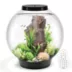 biOrb CLASSIC 60 Aquarium with Multi Color LED - 16 Gallon image thumbnail 1