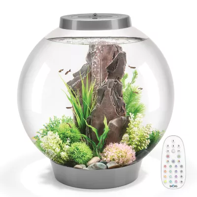 Product biOrb CLASSIC 60 Aquarium with Multi Color LED - 16 Gallon