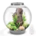 biOrb CLASSIC 60 Aquarium with Multi Color LED - 16 Gallon image thumbnail 1