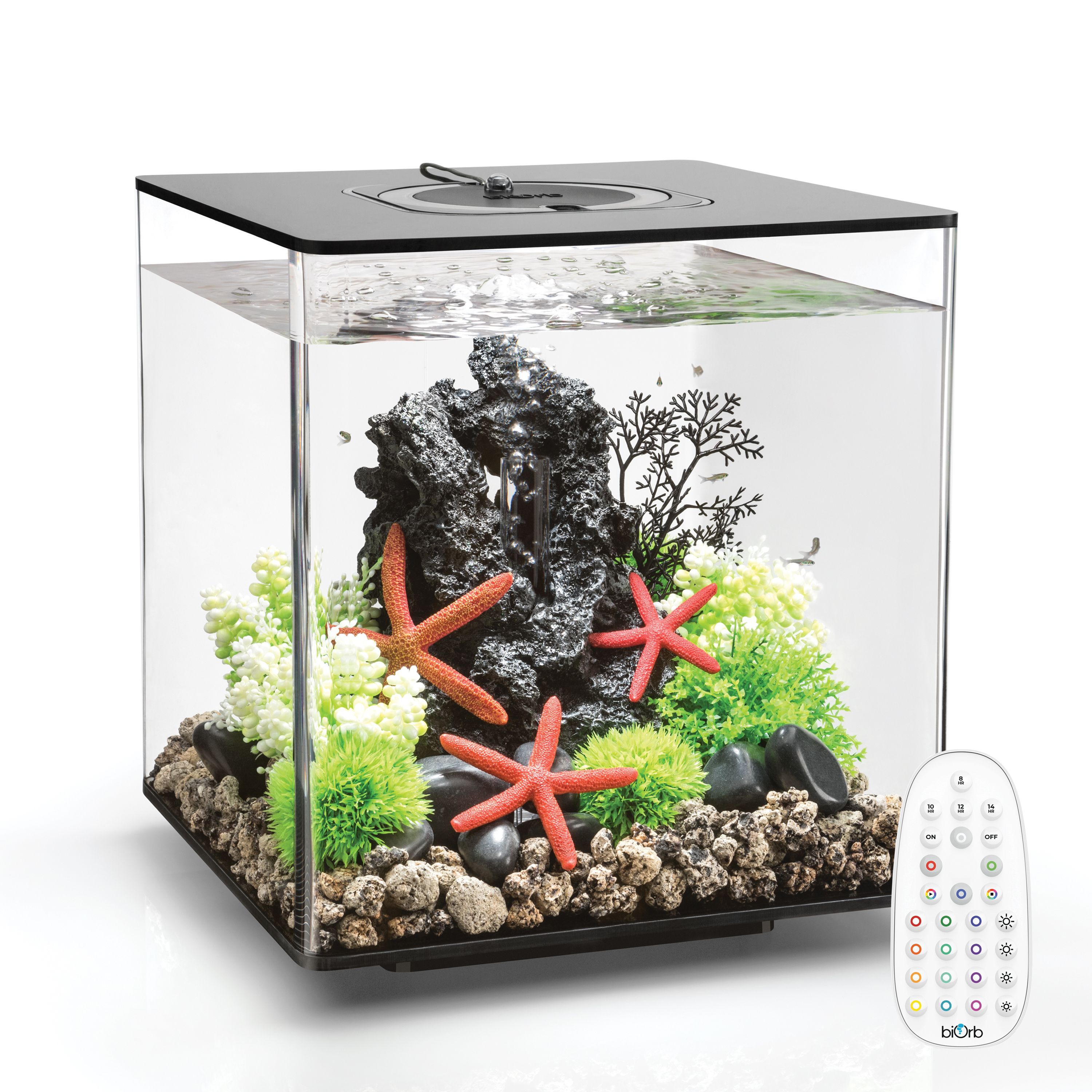 Petsmart biocube outlet