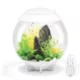 Product biOrb HALO 30 Aquarium with Multi Color LED - 8 Gallon