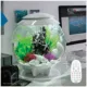 Product biOrb HALO 30 Aquarium with Multi Color LED - 8 Gallon