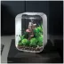 biOrb LIFE 15 Aquarium with LED - 4 Gallon image thumbnail 2