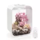 Product biOrb LIFE 15 Aquarium with Multi Color LED - 4 Gallon