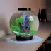 biOrb Stone Garden Aquarium Ornament Set image thumbnail 2