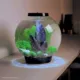 Product biOrb Stone Garden Aquarium Ornament Set