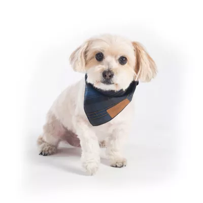 Product Pendleton Crescent Lake Plaid Dog Bandana