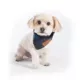 Product Pendleton Crescent Lake Plaid Dog Bandana