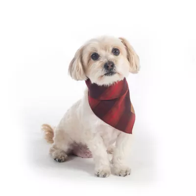 Product Pendleton Red Ombre Plaid Dog Bandana
