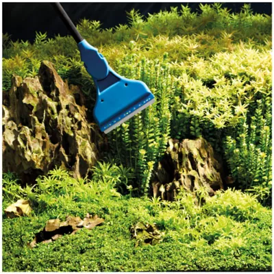 Product OASE Aquarium Algae Scraper