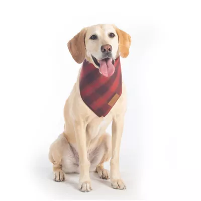 Product Pendleton Red Ombre Plaid Dog Bandana