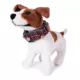 Product Pendleton Grey Stewart Plaid Jingle Bells Dog Collar