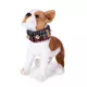 Product Pendleton Grey Stewart Plaid Jingle Bells Dog Collar