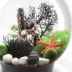biOrb Artificial Aquarium Flower Ball with Daisies - 5" image thumbnail 7